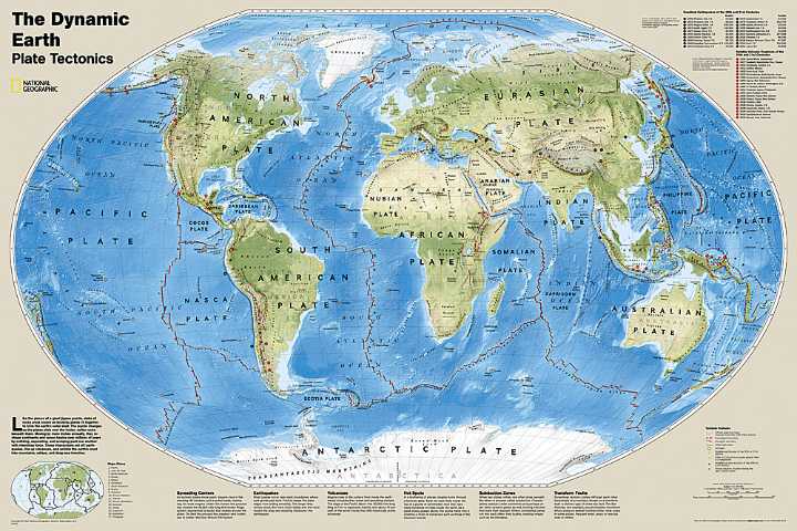 The Dynamic World